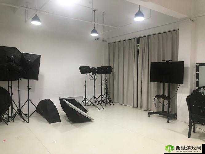 嫩草影视传媒公司:致力于打造优质影视内容的专业团队