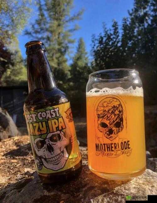 亚洲强爽:让你感受不一样的独特风味与畅爽体验