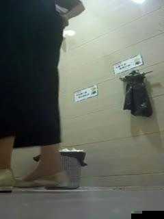 大神厕拍日:窥探隐秘之地的独特视角