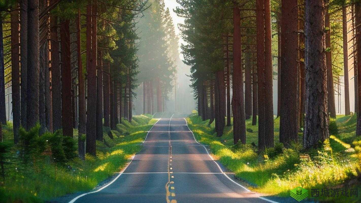 小森生活,朝晖森林的绿意秘境与资源宝藏