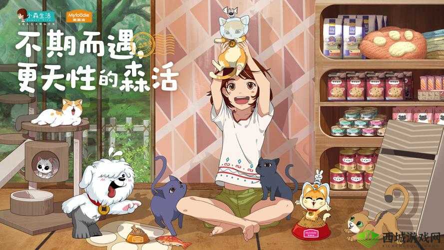 小森生活猫盖饭制作方法