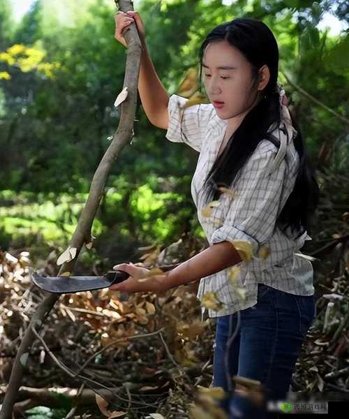 海角封神佛山单亲妈妈:一个伟大母亲的传奇故事