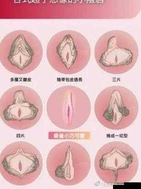 女性大荫蒂荫道多毛茸茸:探索私密部位的自然之美