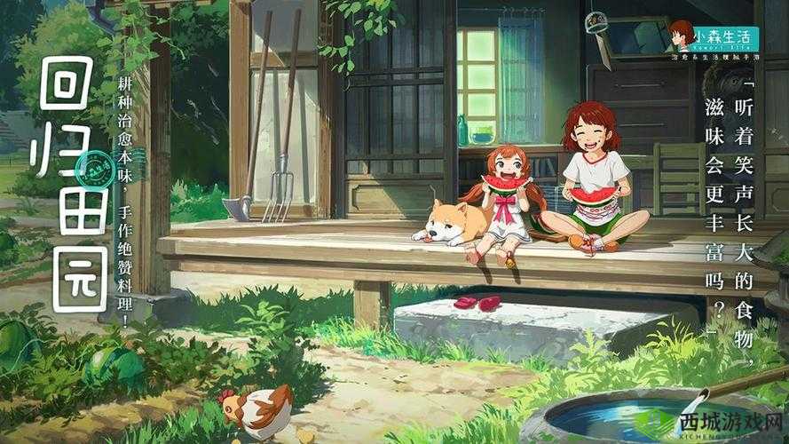 小森生活与雨籽丛，自然与生活的和谐共鸣