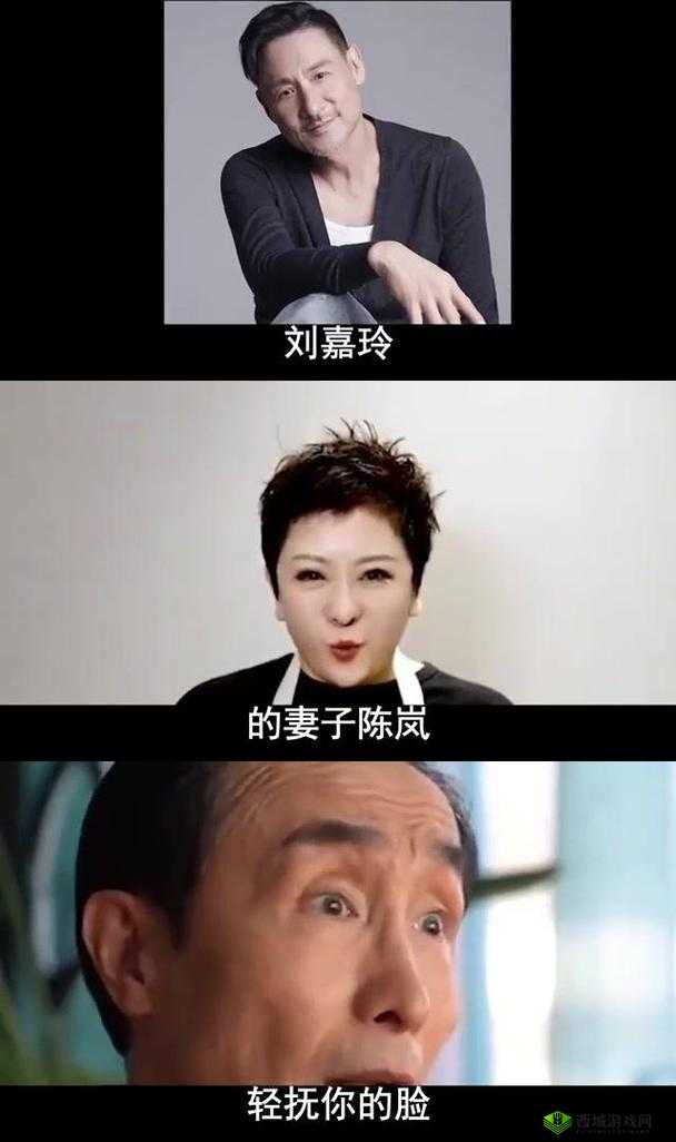 某男星靠助理解决需求:揭秘娱乐圈背后的依赖现象