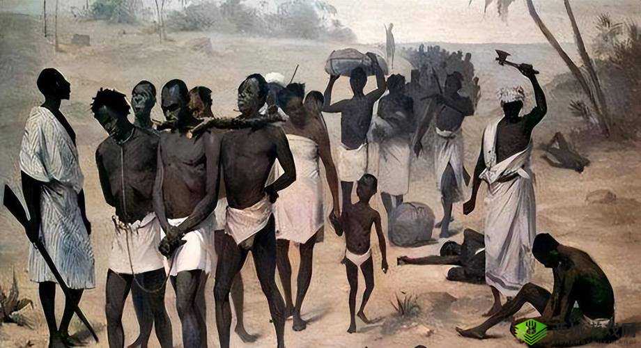 被三个黑人折腾折惨叫:一段令人震惊的经历