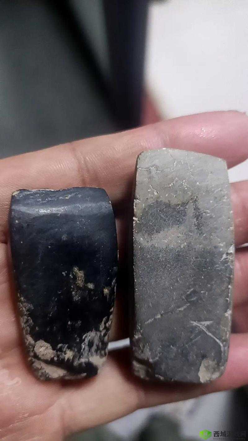 在荒野求生的环境中，一把石斧是极其重要的生存工具，它不仅可以用来砍伐树木、建造庇护所，还可以作为防御武器。下面将详细介绍一种挨饿荒野中制作石斧的方法，帮助你在野外环境中自给自足。