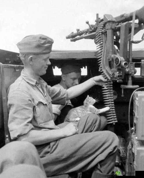 1v3 四个男主军人:战火纷飞中的铁血柔情与坚毅抉择