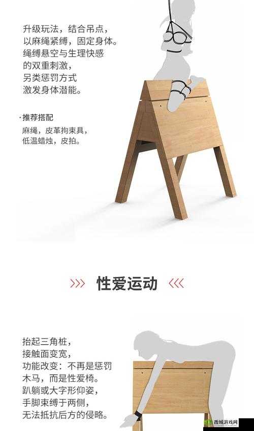 极度另类 bdsm 最残忍 bdsm:探索未知的性癖好与危险边缘