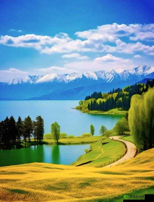 探秘自然之美，小森生活与大马哈鱼的奇妙邂逅