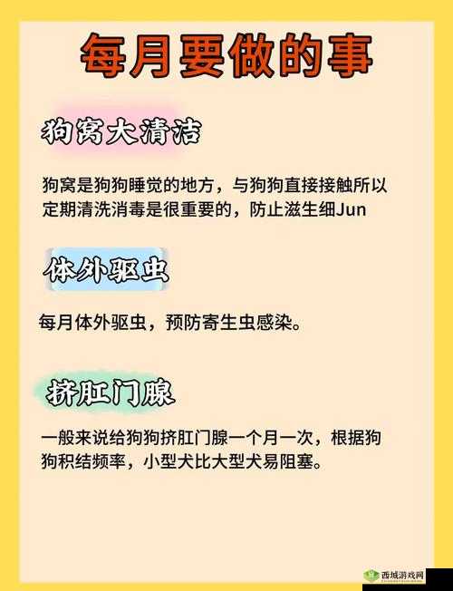 女狗任务表:一份记录狗狗精彩使命与责任的清单