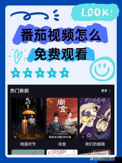 免费的短视频免费下载:开启精彩视觉之旅