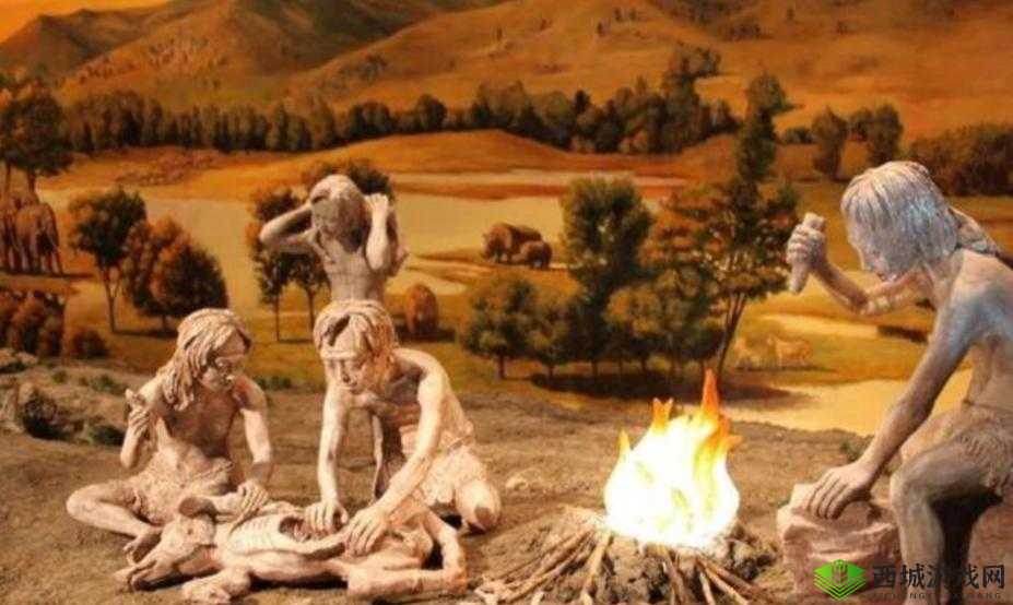 美国人插插插:探索美国文化的新视角