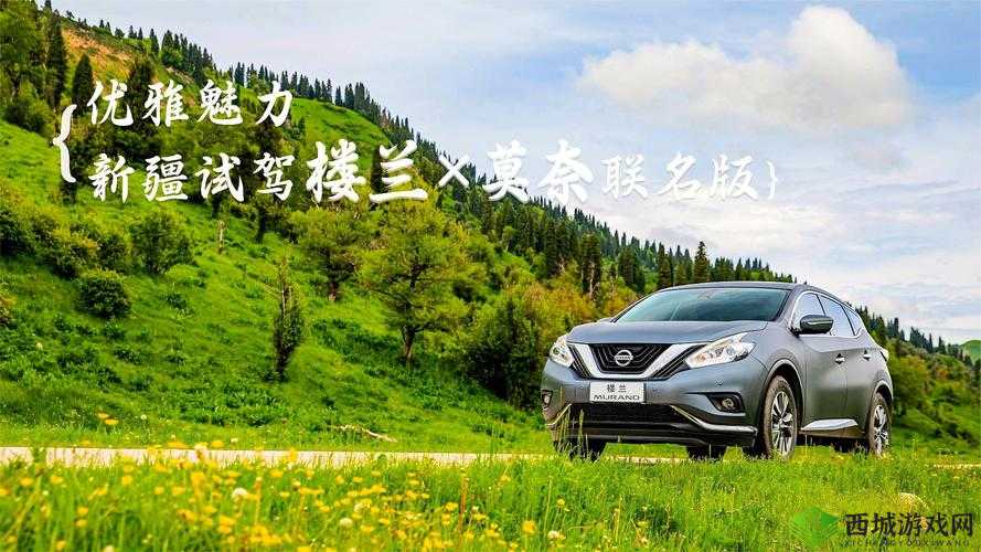 精美日产 MV:带你领略独特的视觉盛宴与艺术魅力