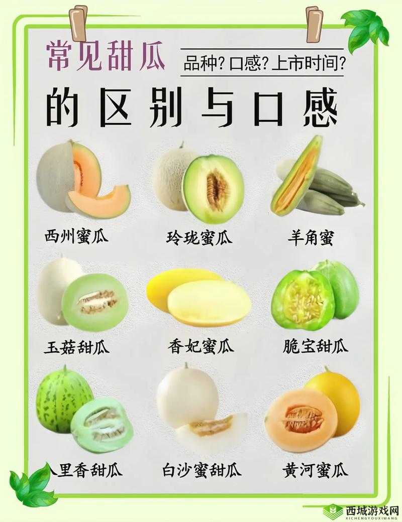 吃黑料瓜的注意事项:清洗干净、适量食用、避免过敏