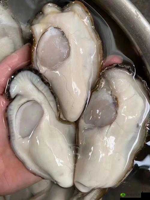 肉伦疯狂挺进麻麻肉蚝深处激情下种震撼画面