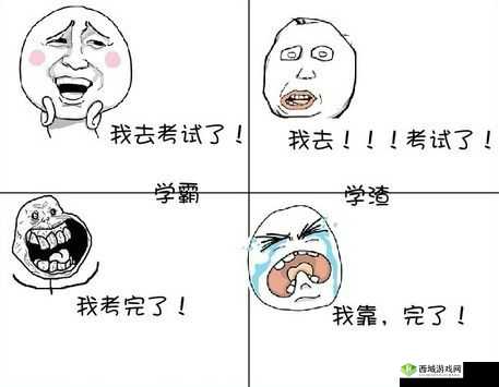 当学渣遭遇学霸:一场知识与身体的碰撞