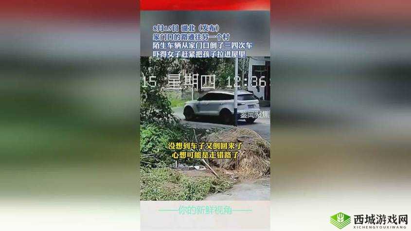 一起草在哪17c14:探索其背后隐藏的秘密线索