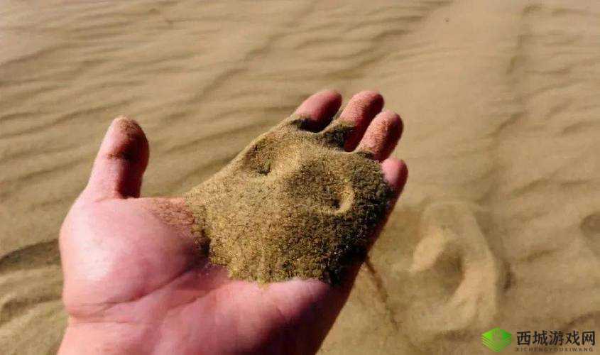 沙子，看似无穷，实则稀缺的资源