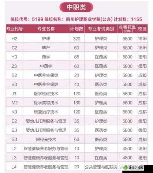 2024 年四川妇女 Bbbb 职业发展:机遇与挑战并存