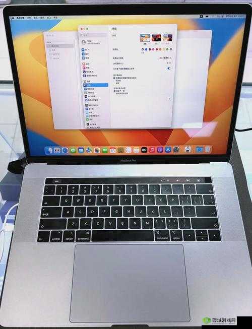 19 岁 MACBOOKPRO 欧美：青春与科技的激情碰撞之旅