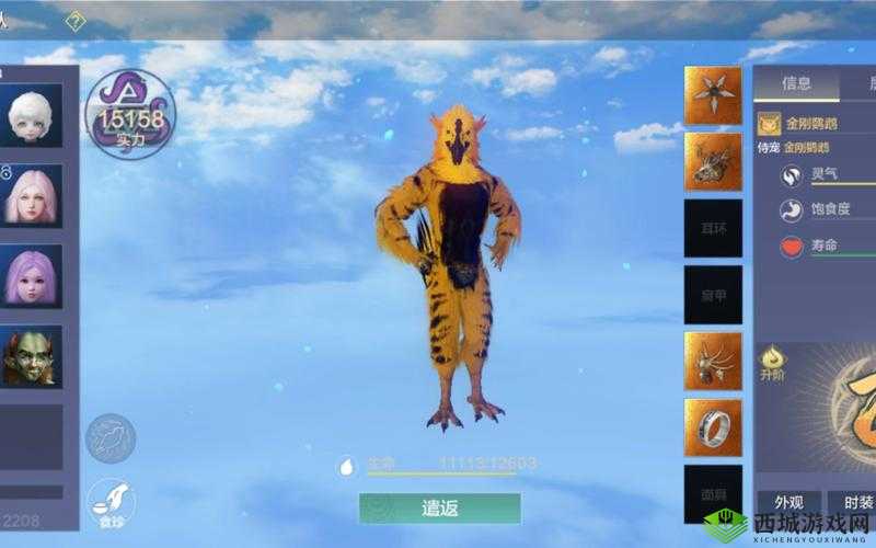 妄想山海金刚鹦鹉强度分析，资源管理、技巧、浪费避免与最大化价值