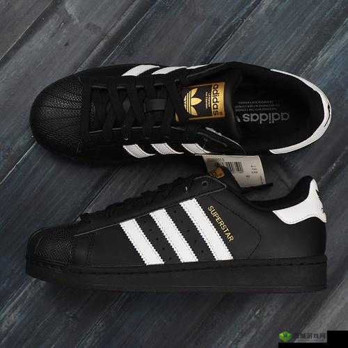 三叶草正版官网:提供最优质的产品与服务体验