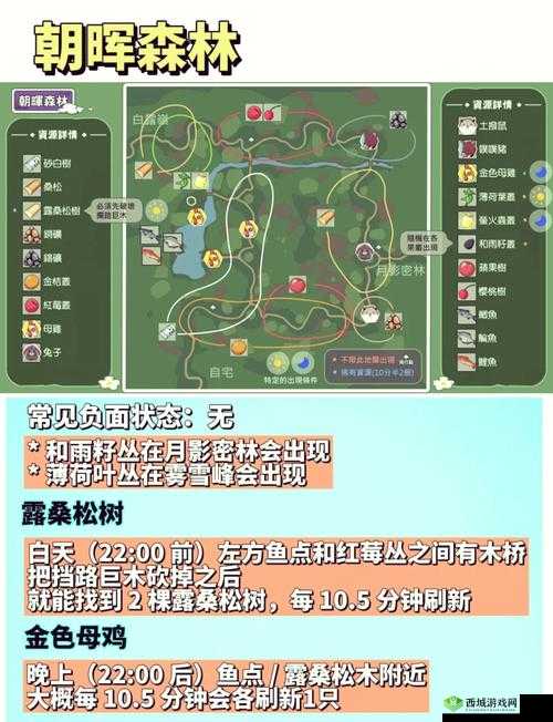 小森生活朝晖森林动物介绍