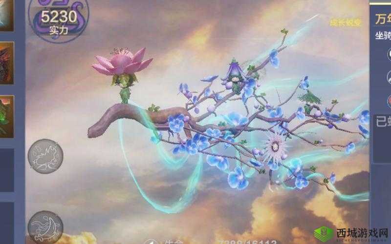 妄想山海小桃红,沙漠绿洲中的神秘精灵