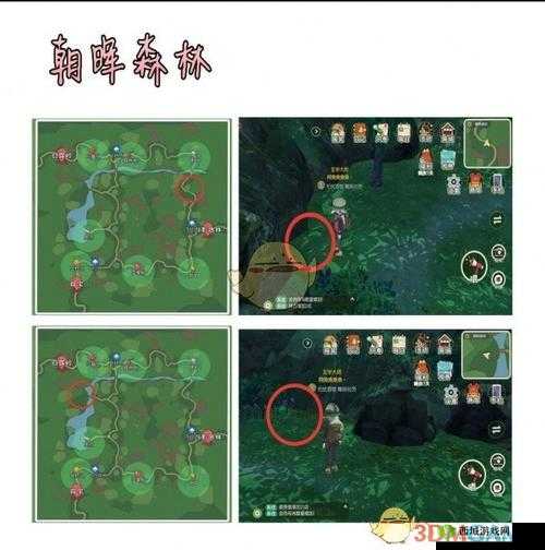 小森生活甲虫获取方法