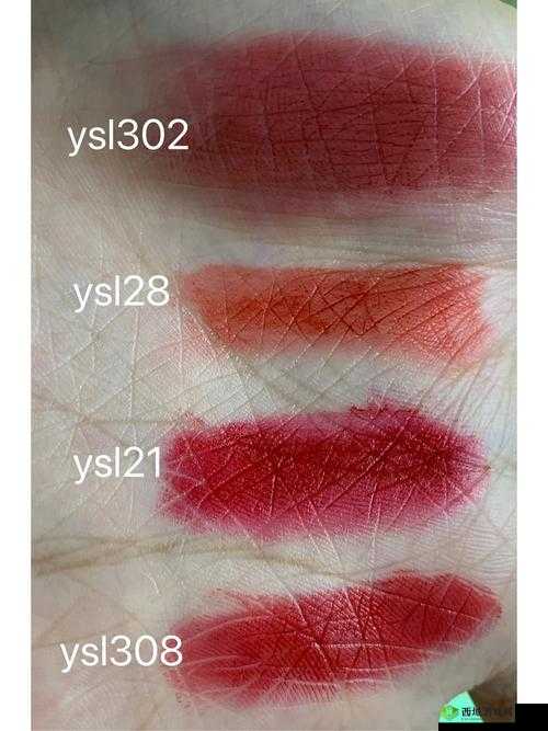Ysl 热门蜜桃色 m6w 拥有高清资源:详细评测与试色分享