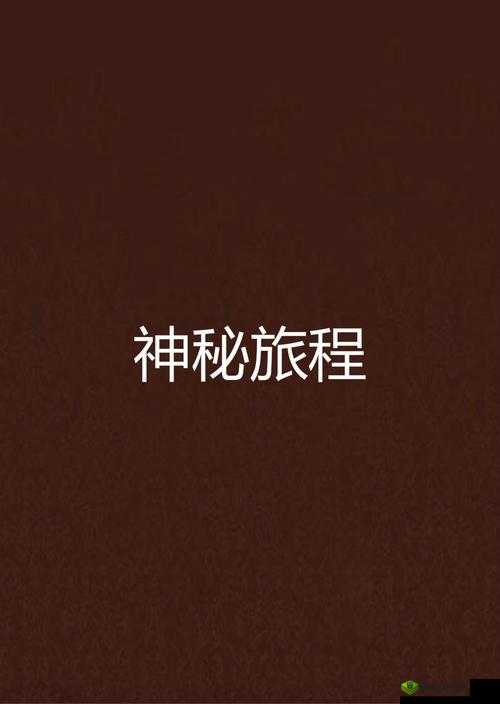 探秘 WWWxxxBBBAV:一段神秘的旅程