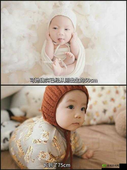 孩娃 Fide0SⅩ 娇小:关于其成长与独特魅力的探讨