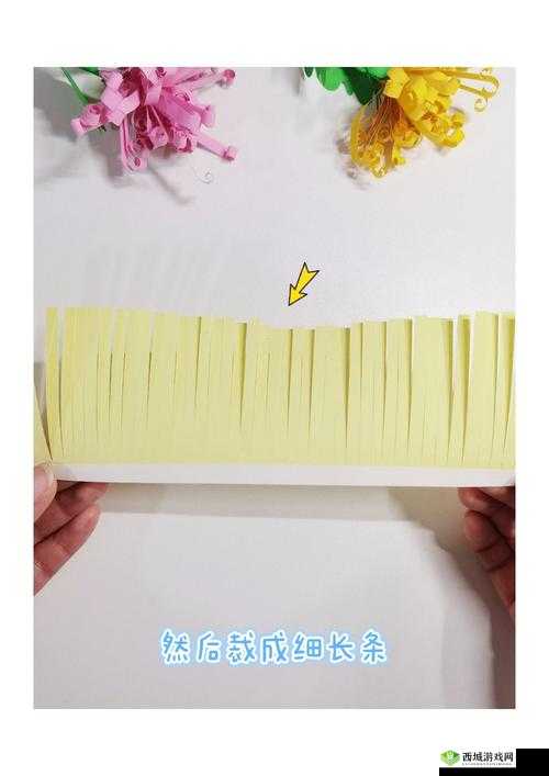 棉签一根一根放入菊花深处,探秘未知的奇妙世界