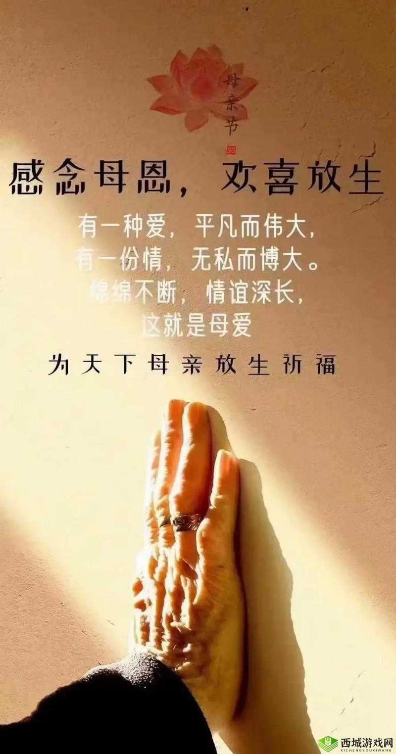 儿子,妈妈是你的人:母爱的无私奉献与牺牲