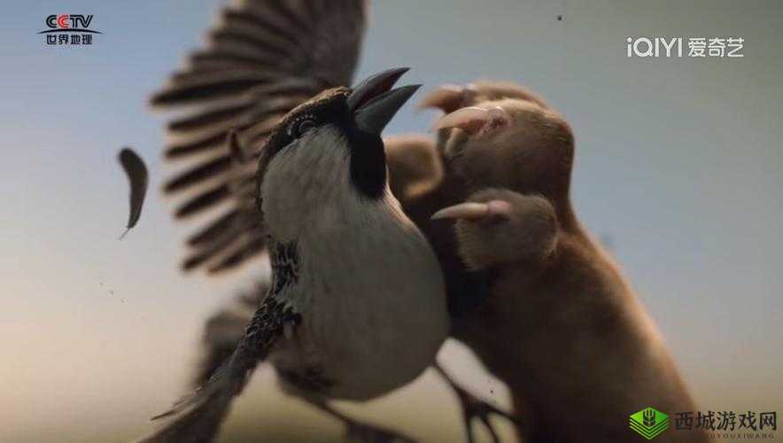 91 黄色视频下载:探寻其背后的隐秘世界