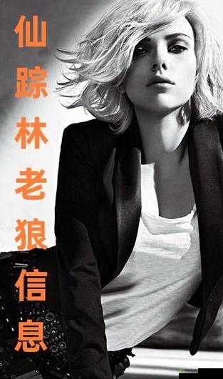 仙踪林老狼信息网:探索神秘仙境的指南