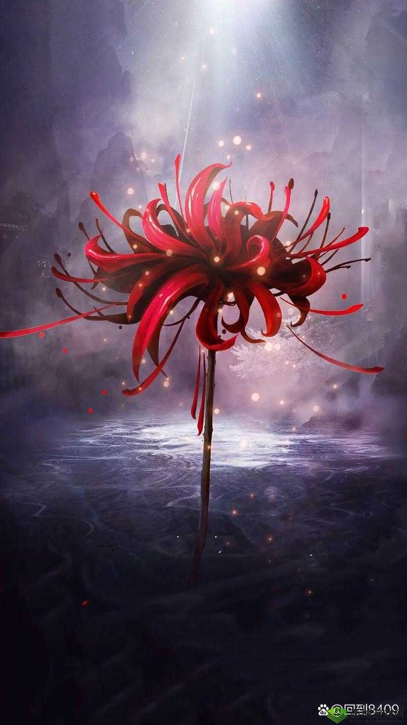 彼岸花,冥界之花的异界之旅