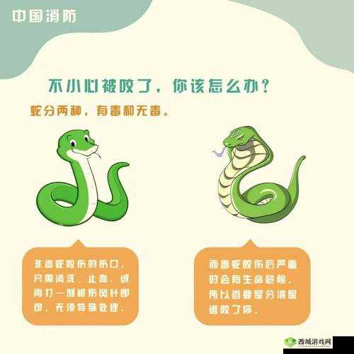 蛇类的抗毒性,自然界的奇妙防御机制