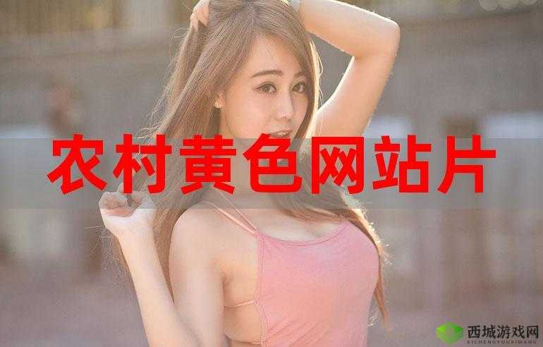 欧美日韩网站:带你领略多元文化的精彩世界