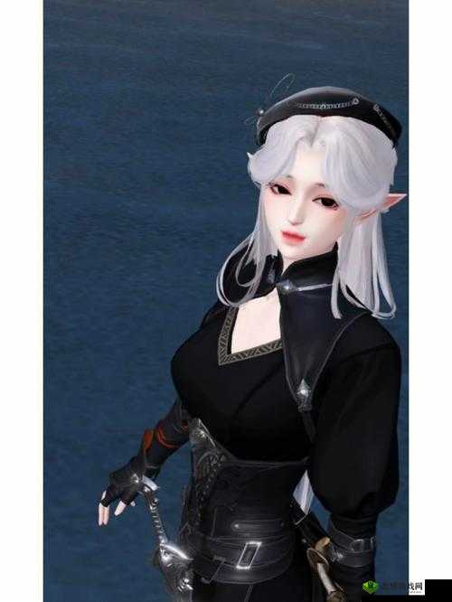 天谕手游卤肉饭制作攻略,资源管理的艺术