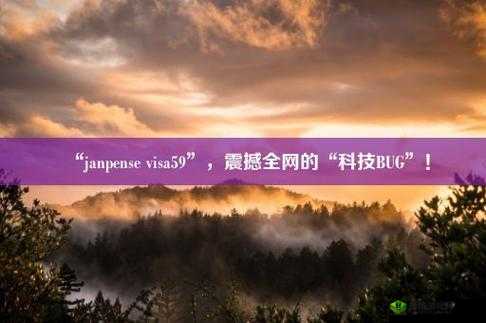 Janpense Visa 清高:独特视角下的别样解读