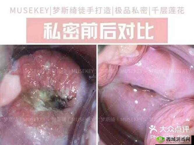 free 女尿 videoes_hd:私密时刻的自由释放