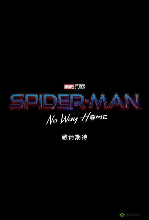 蜘蛛侠3正式片名的重要性及其管理策略