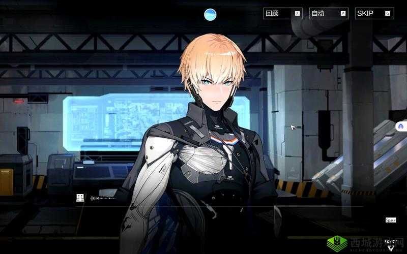 寄叶二号B型,双帕弥什中的战斗精英