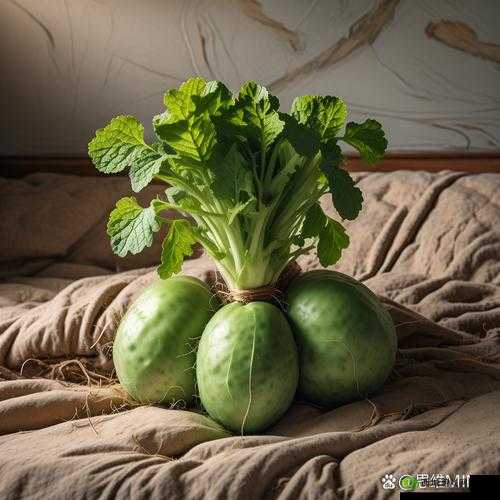 真人床上拔萝卜:一场充满欢笑与惊喜的独特体验