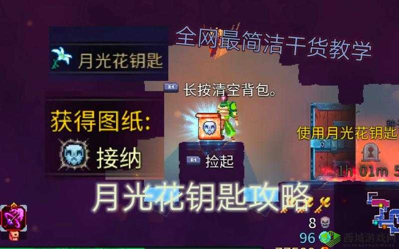 重生细胞月光花钥匙介绍