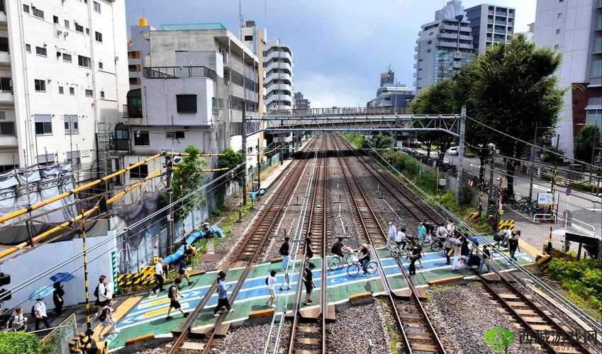 日本高清一区的精彩世界:领略极致影像魅力