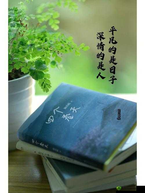 老张的幸福生活:平凡日子里的温馨与感动