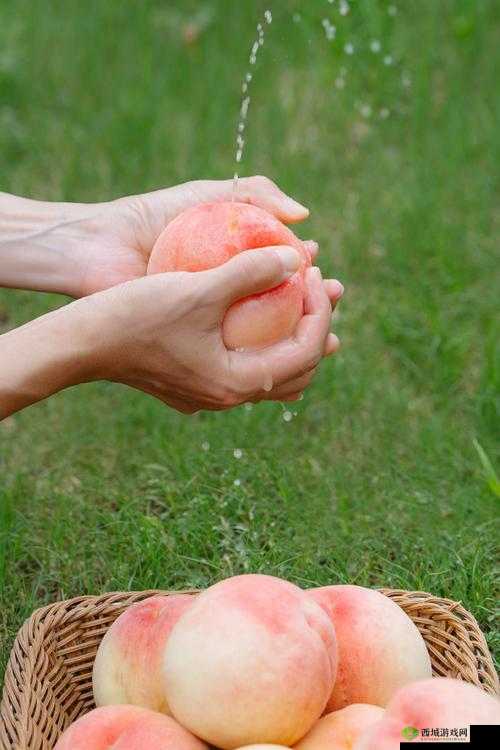 快灬快灬一下爽蜜桃:带你体验不一样的甜蜜与刺激